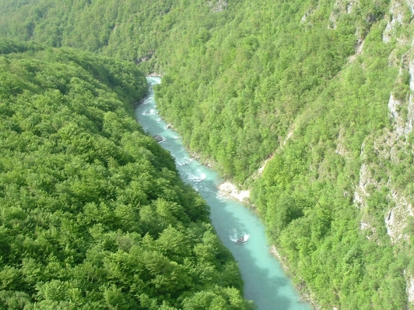 Каньон реки Тара. 