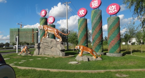 парк северо-восточных тигров