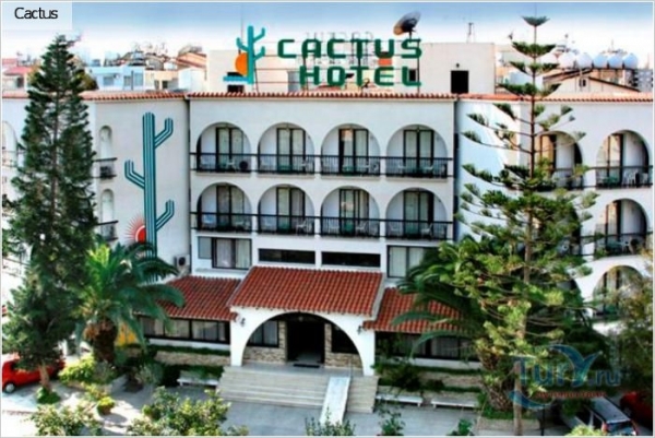 отель cactus