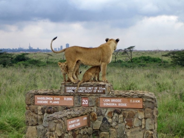 Найроби — национальный парк